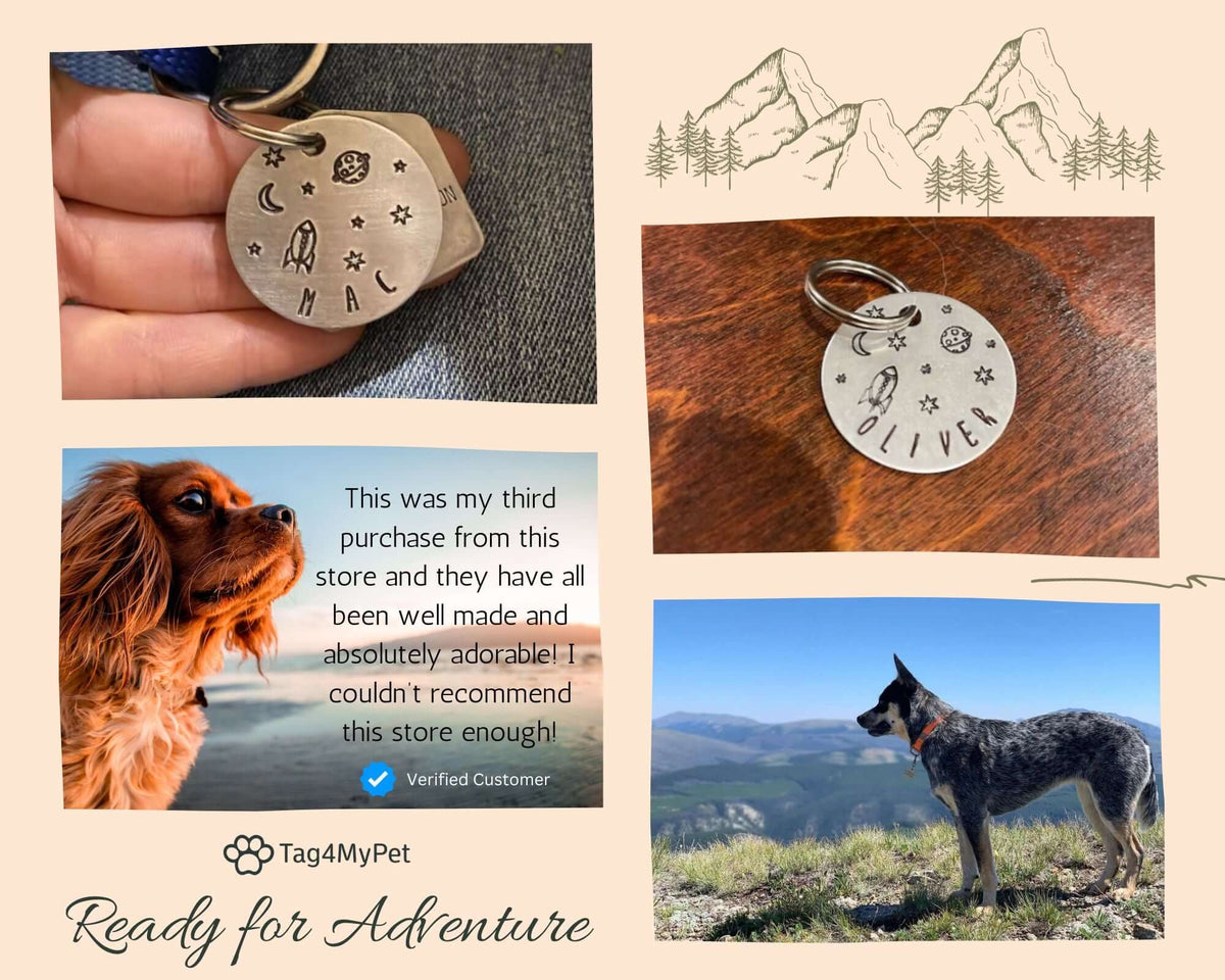 Space Design Jupiter Handstamped - Pet ID Tag