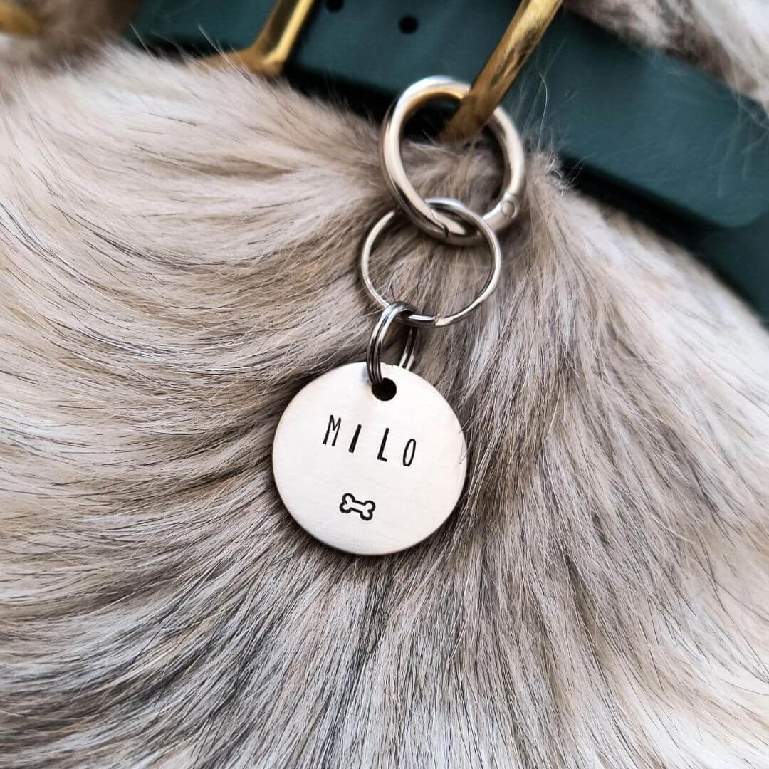 Milo Bone Handstamped - Pet ID Tag