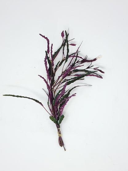 Dragon's Tongue | Hemigraphis repanda