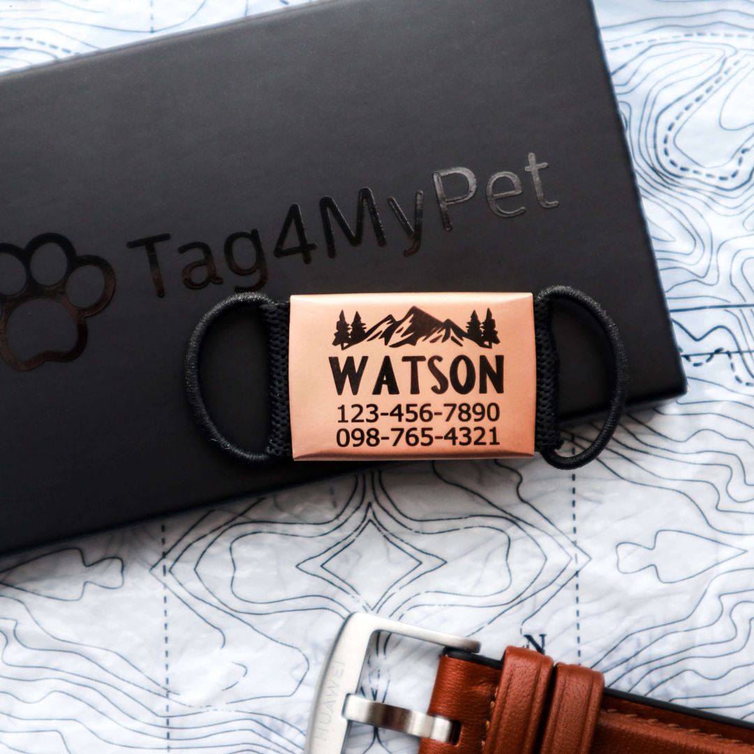 Various Colours and Multiple Designs Slide-On - Pet ID Tag