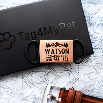 Various Colours and Multiple Designs Slide-On - Pet ID Tag