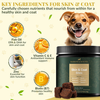 Skin & Coat Bites for Dogs – Shine, Strength & Allergy Relief