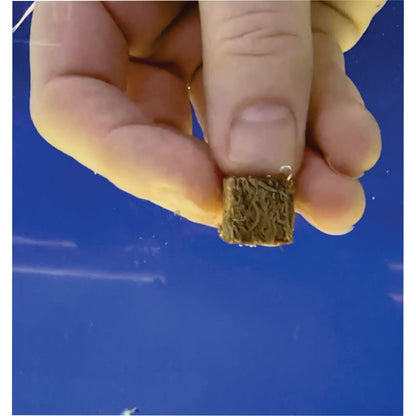 Super Cichlids Freeze-Dried Blackworms with Color Boost (All Natural, High Protein Fish Food)